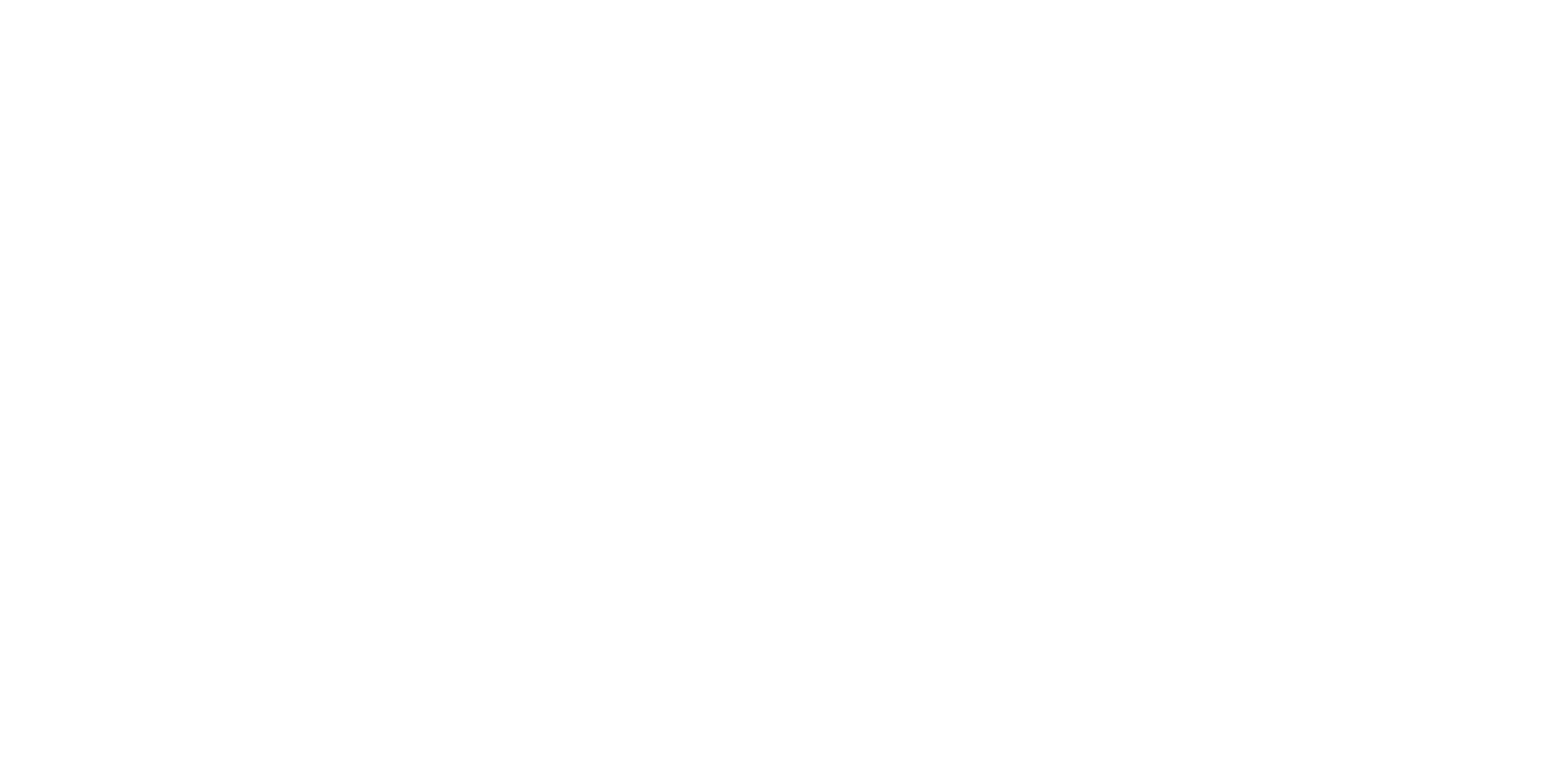 Renostar-Logo-Footer